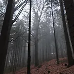 Pod Binovem 別荘 Smržovka